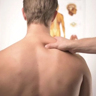 Supporto a Lungo Termine per la Salute Articolare